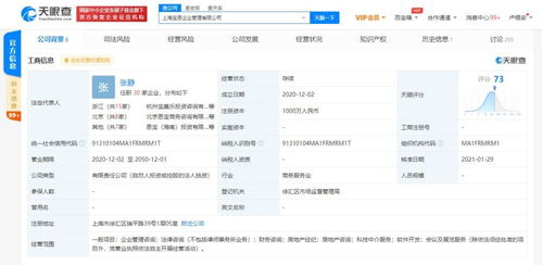 信息技術咨詢服務的價值與未來趨勢
