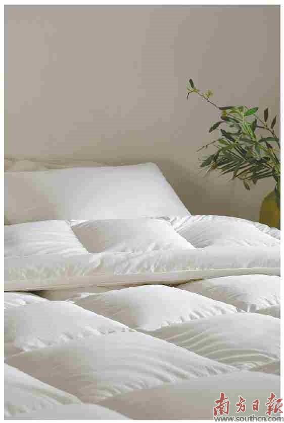 小羽毛 有大目標 向百億產(chǎn)值進發(fā)