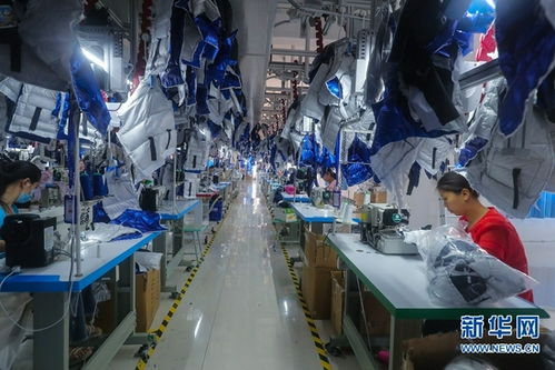 河南光山 羽絨產(chǎn)品走俏全國