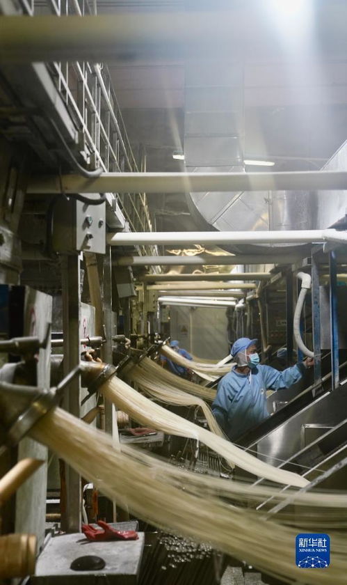 小粉絲走俏海外大市場(chǎng)