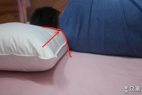 羽絨產品怎么選 四款鵝絨枕橫評盡在此篇