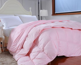 羽絨被的價(jià)格一般是多少 通過成本看羽絨被價(jià)格